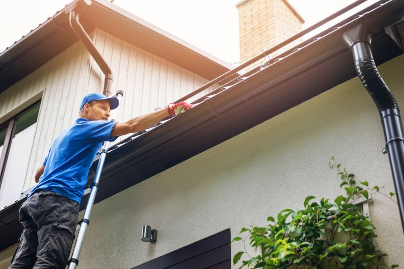 Seasonal Gutter Maintenance Providers